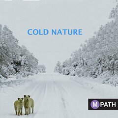 Album art for the CLASSICAL album Cold Nature