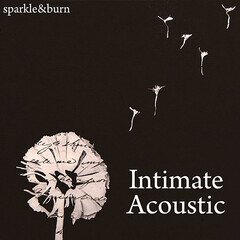 Album art for the FOLK album Intimate Acoustic