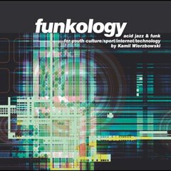 Album art for the POP album Funkology