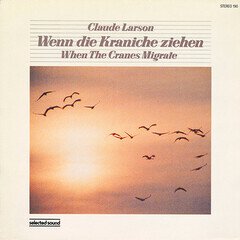 Album art for the ELECTRONICA album Wenn Die Kraniche Ziehen