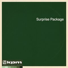 Album art for the ROCK album Surprise Package