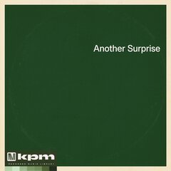 Album art for the  album Another Surprise