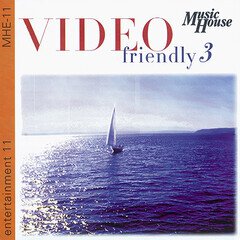 Album art for the  album Video Friendly 3