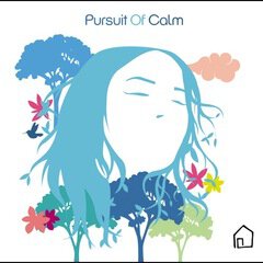 Album art for the EDM album Pursuit Of Calm