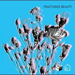 Album art for the ATMOSPHERIC album Fractured Beauty