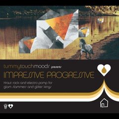 Album art for the  album Tummy Touch Moods Presents Impressive Progressive