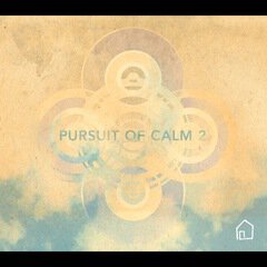 Album art for the EDM album Pursuit of Calm 2