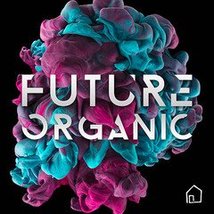 Album art for the EDM album Future Organic