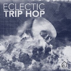 Album art for the ELECTRONICA album Eclectic Trip Hop