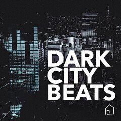 Album art for the EDM album Dark City Beats