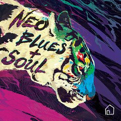 Album art for the ROCK album Neo Blues and Soul