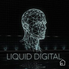 Album art for the ELECTRONICA album Liquid Digital