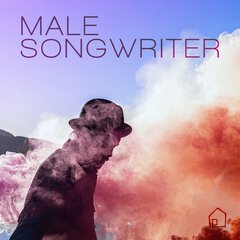 Album art for the POP album Male Songwriter