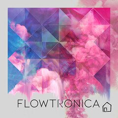Album art for the EDM album Flowtronica