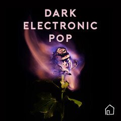 Album art for the POP album Dark Electronic Pop