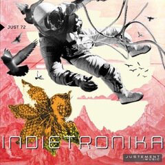 Album art for the ELECTRONICA album Indietronika