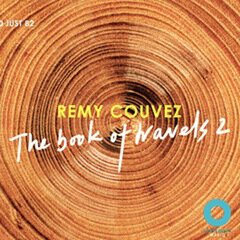 Album art for the WORLD album The Book of Travels 2