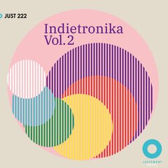 Album art for the  album Indietronika 2