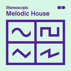 Album art for the EDM album Melodic House