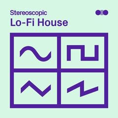 Album art for the EDM album Lo Fi House