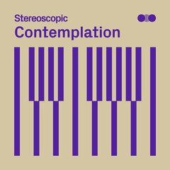 Album art for the ELECTRONICA album CONTEMPLATION