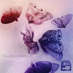 Album art for the FOLK album Invizible