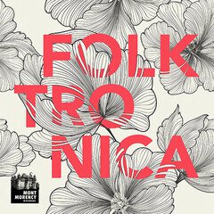 Album art for the FOLK album Folktronica