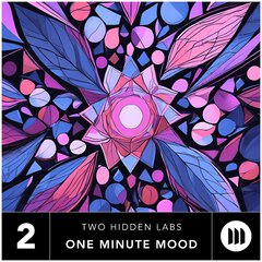 Album art for the EDM album ONE MINUTE MOOD VOL. 2
