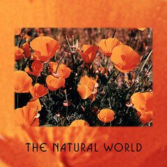Album art for the WORLD album The Natural World