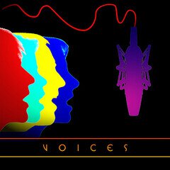 Album art for the  album Voices