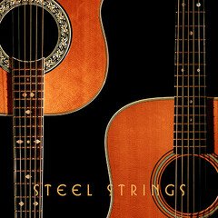 Album art for the COUNTRY album Steel Strings