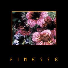 Album art for the CLASSICAL album Finesse