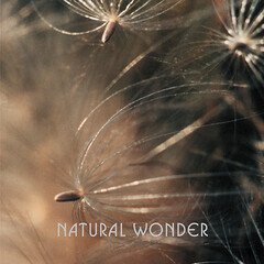 Album art for the ELECTRONICA album Natural Wonder