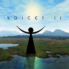 Album art for the  album Voices II