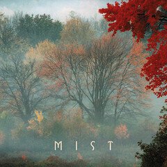 Album art for the ELECTRONICA album Mist