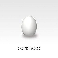 Album art for the  album Going Solo
