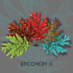 Album art for the ELECTRONICA album Discovery II