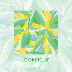 Album art for the ROCK album Looking Up