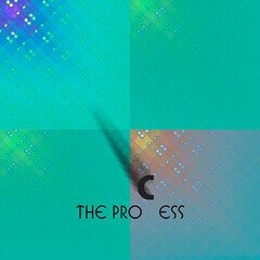 Album art for the  album The Process
