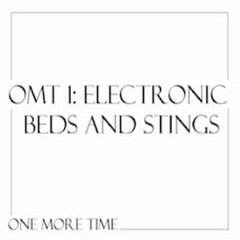 Album art for the EDM album Electronic Beds and Stings
