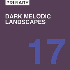 Album art for the ELECTRONICA album Dark Melodic Landscapes