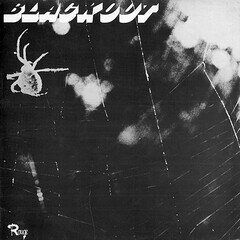 Album art for the  album BLACKOUT