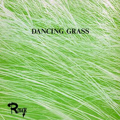 Album art for the  album DANCING GRASS