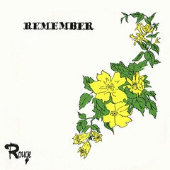 Album art for the  album REMEMBER