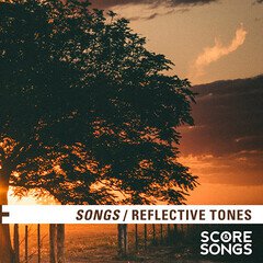 Album art for the POP album Reflective Tones SONGS