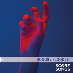 Album art for the POP album FLOODLIT