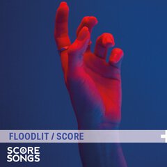 Album art for the POP album FLOODLIT SCORE