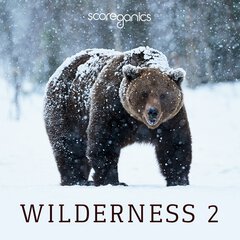 Album art for the SCORE album WILDERNESS 2
