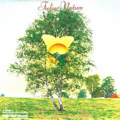Album art for the ELECTRONICA album The Sundown Project: Feeling Nature