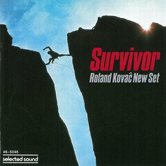 Album art for the  album Survivor